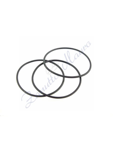 O-Rings sezione mm 0,50 diametro 17,00 busta da 3 pezzi