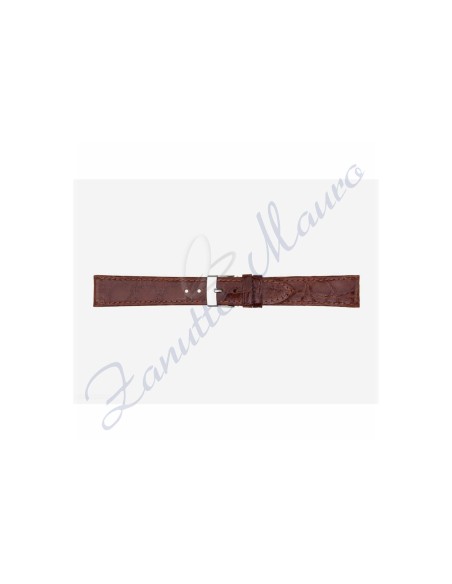 Genuine crocodile leather strap 517/C flat mm 12x10 brown gold